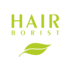 logo hair borist